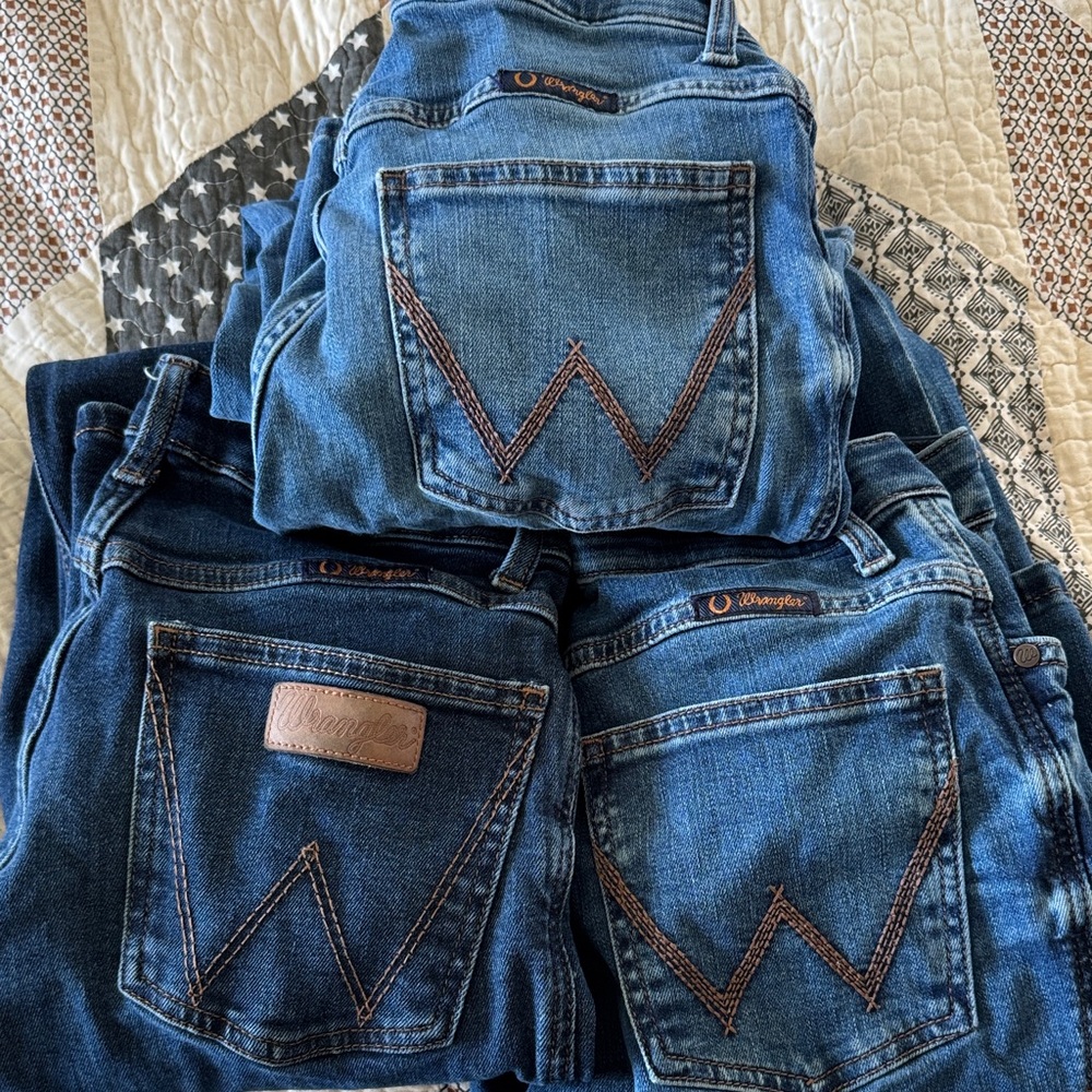 Wrangler Willow collection! Size 27x38